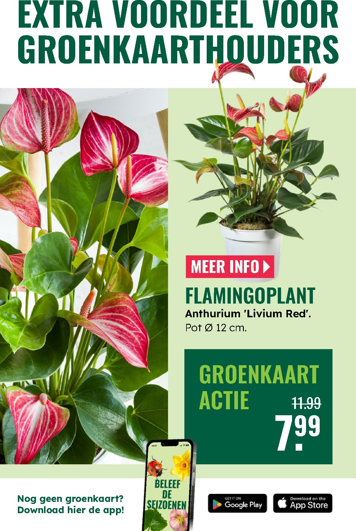 groenrijk - De GroenRijk folder geldig vanaf 27-12 t/m 07-01 - page: 7