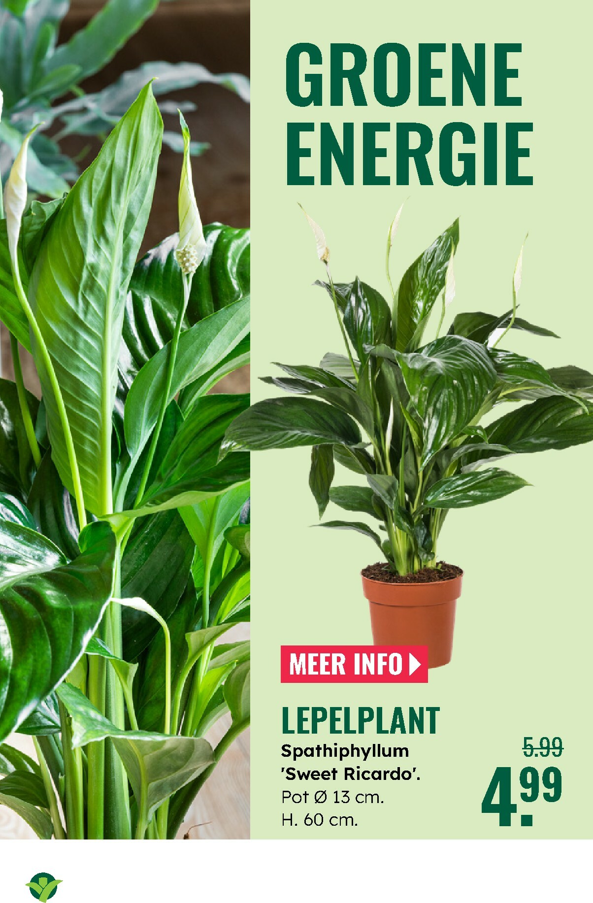 groenrijk - De GroenRijk folder geldig vanaf 27-12 t/m 07-01 - page: 16