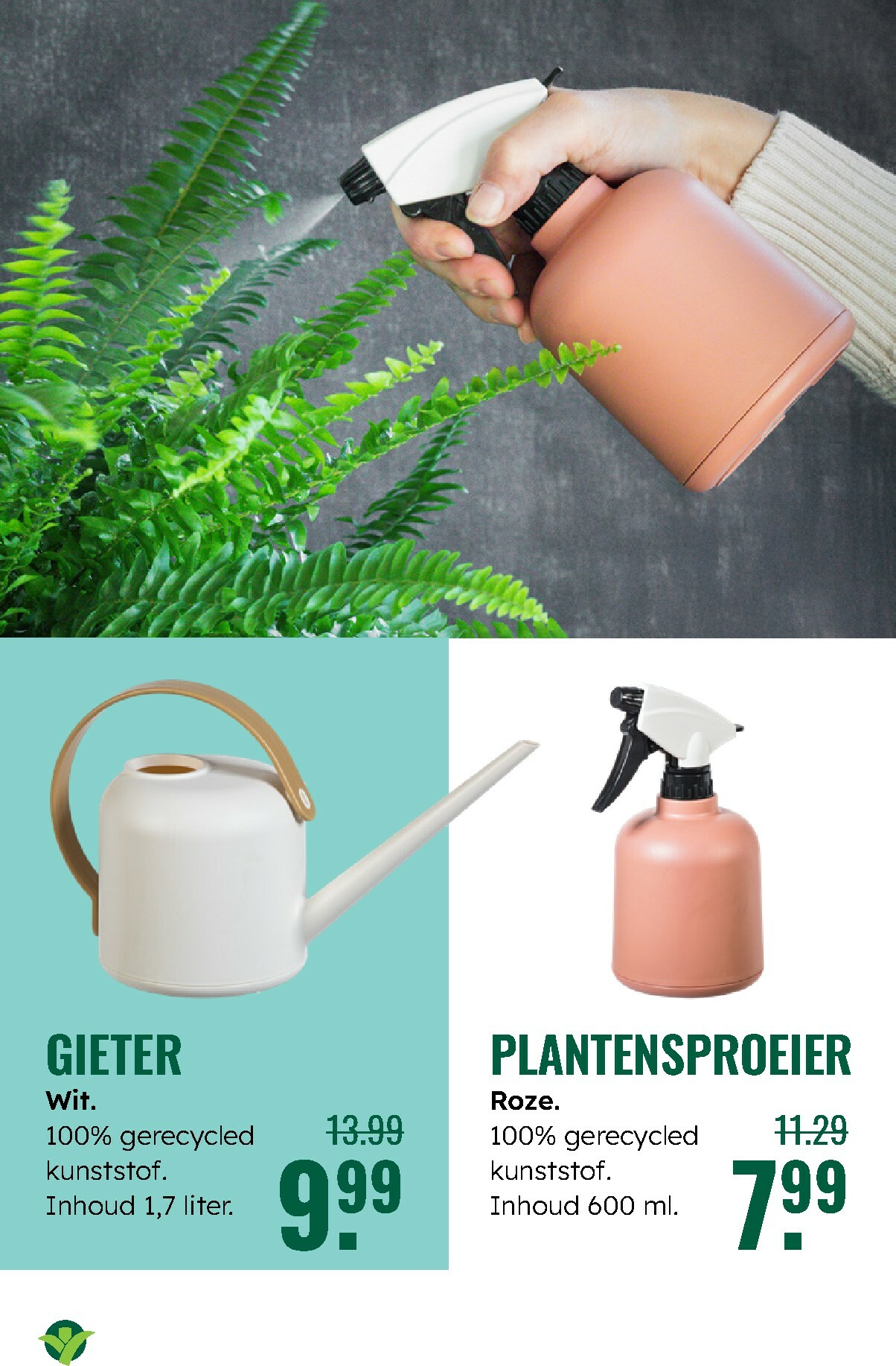 groenrijk - De GroenRijk folder geldig vanaf 27-12 t/m 07-01 - page: 11