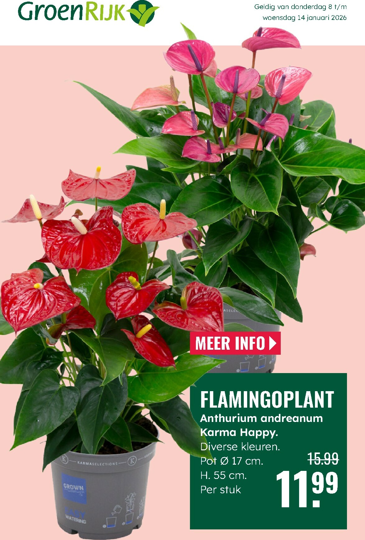 groenrijk - De GroenRijk folder geldig vanaf 08-01 t/m 14-01