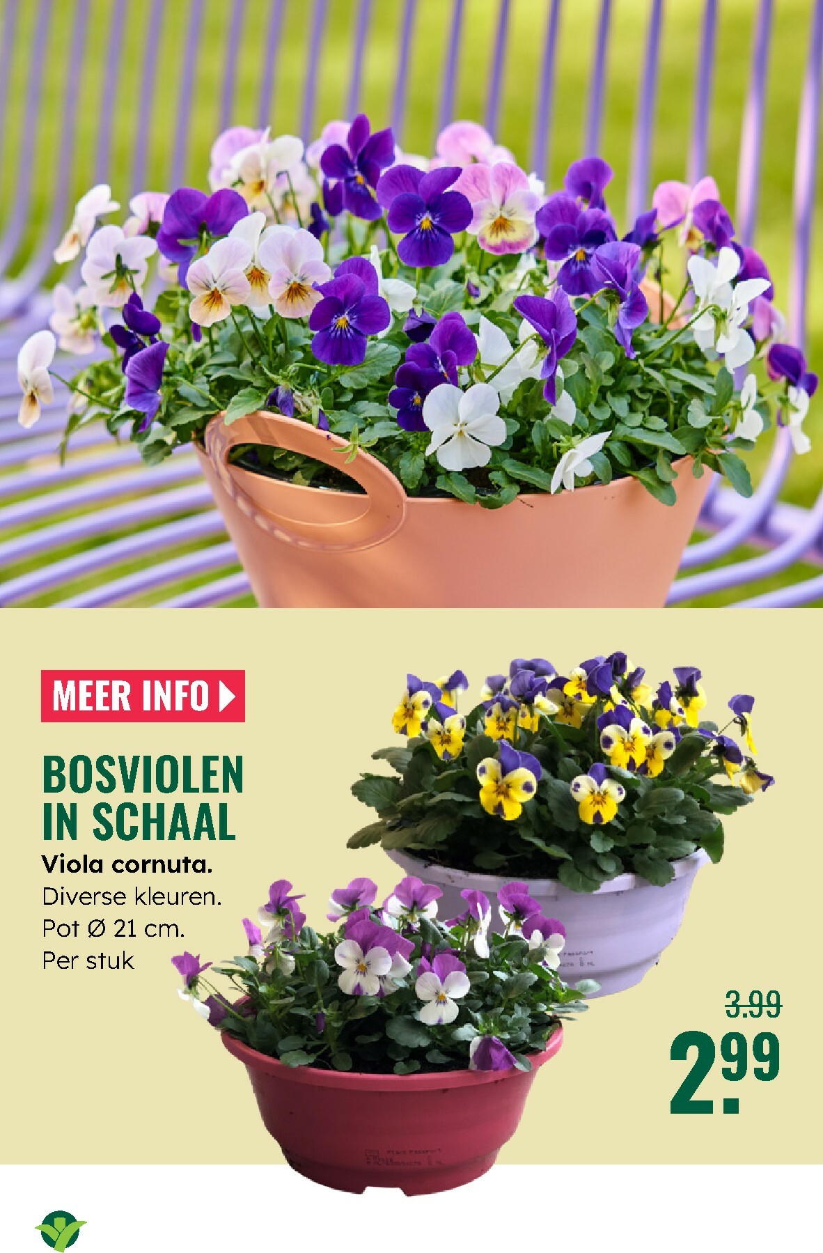 groenrijk - De GroenRijk folder geldig vanaf 12-02-2026 t/m 18-02-2026 - page: 6