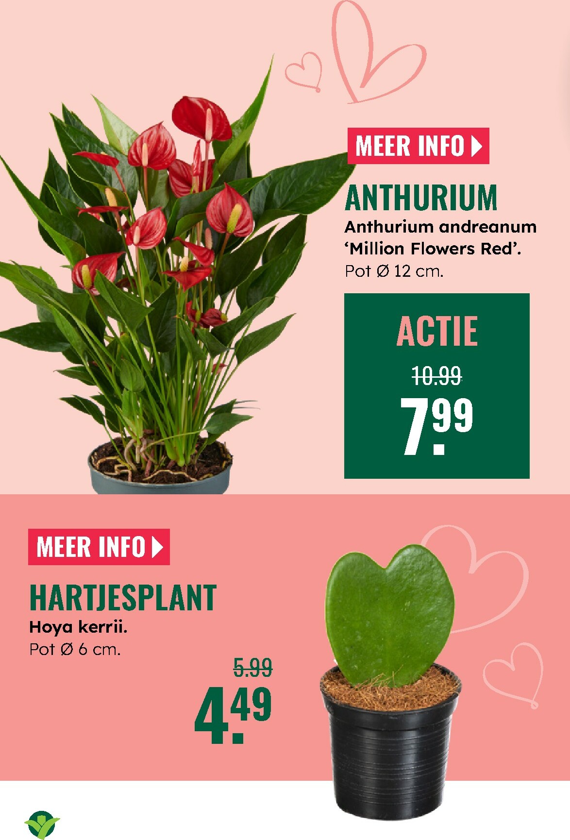 groenrijk - De GroenRijk folder geldig vanaf 12-02-2026 t/m 18-02-2026 - page: 14