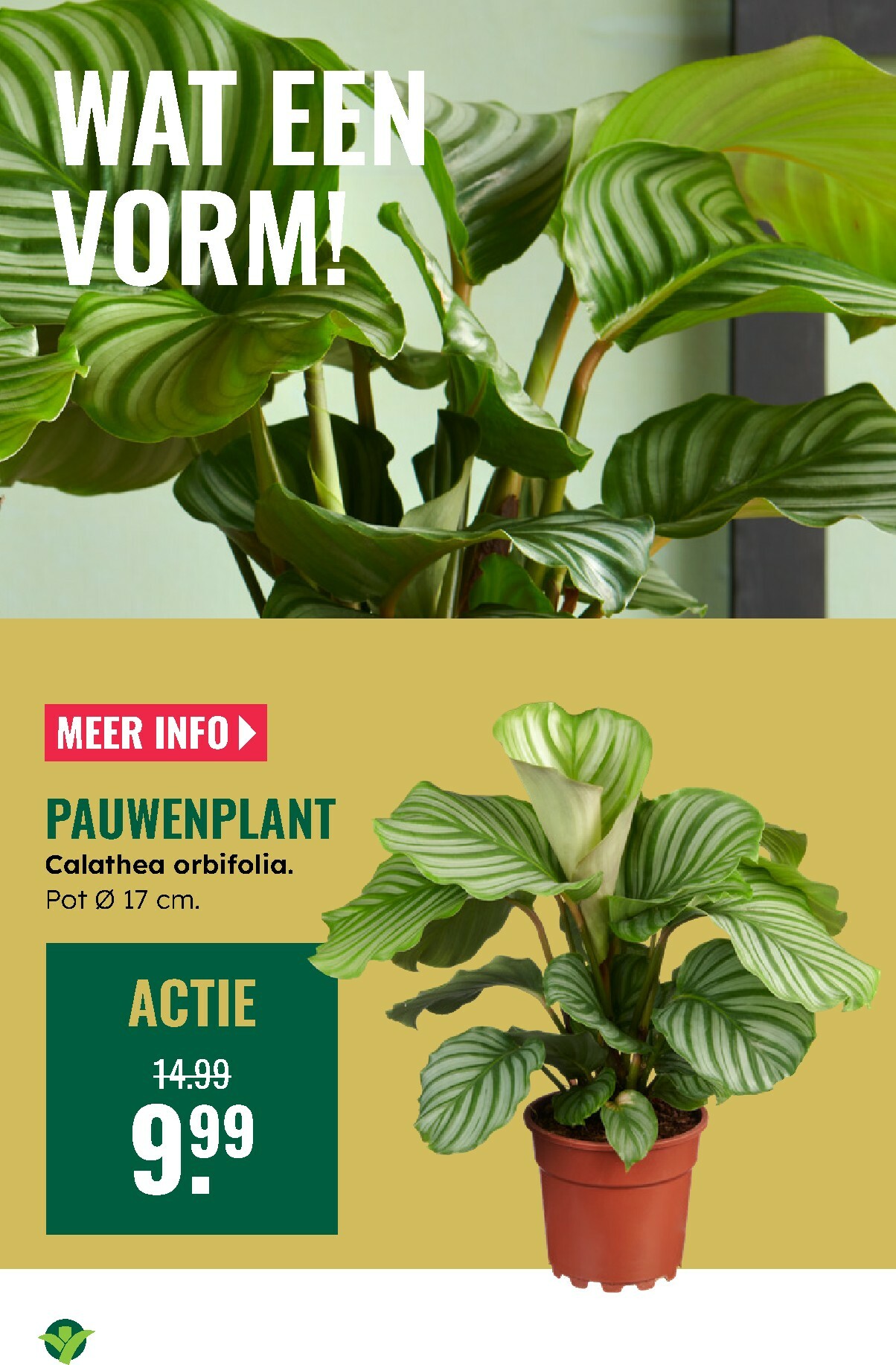 groenrijk - De GroenRijk folder geldig vanaf 12-02-2026 t/m 18-02-2026 - page: 10