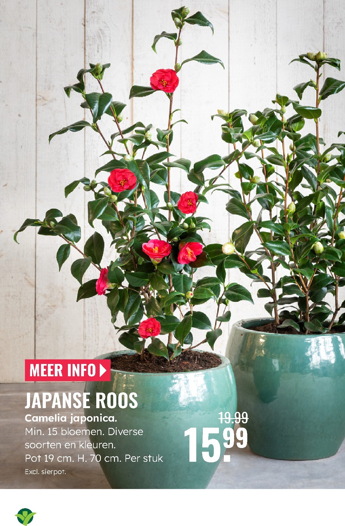 groenrijk - De GroenRijk folder geldig vanaf 05-03-2026 t/m 11-03-2026 - page: 12