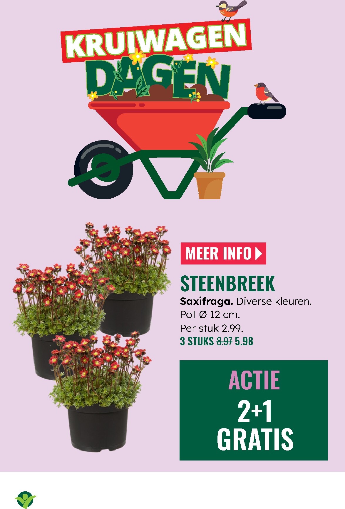 groenrijk - De GroenRijk folder geldig vanaf 05-03-2026 t/m 11-03-2026 - page: 15