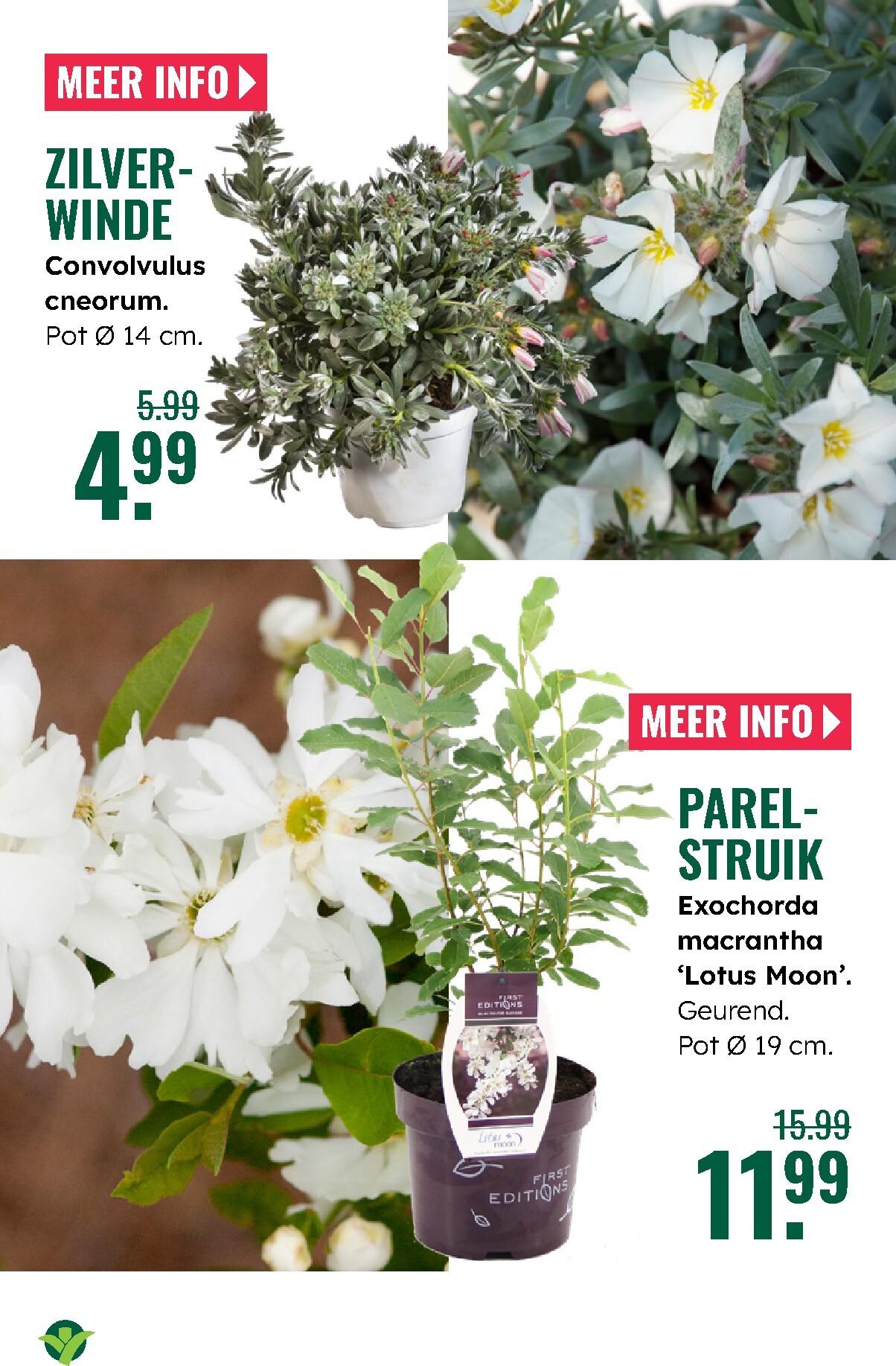 groenrijk - De GroenRijk folder geldig vanaf 05-03-2026 t/m 11-03-2026 - page: 8