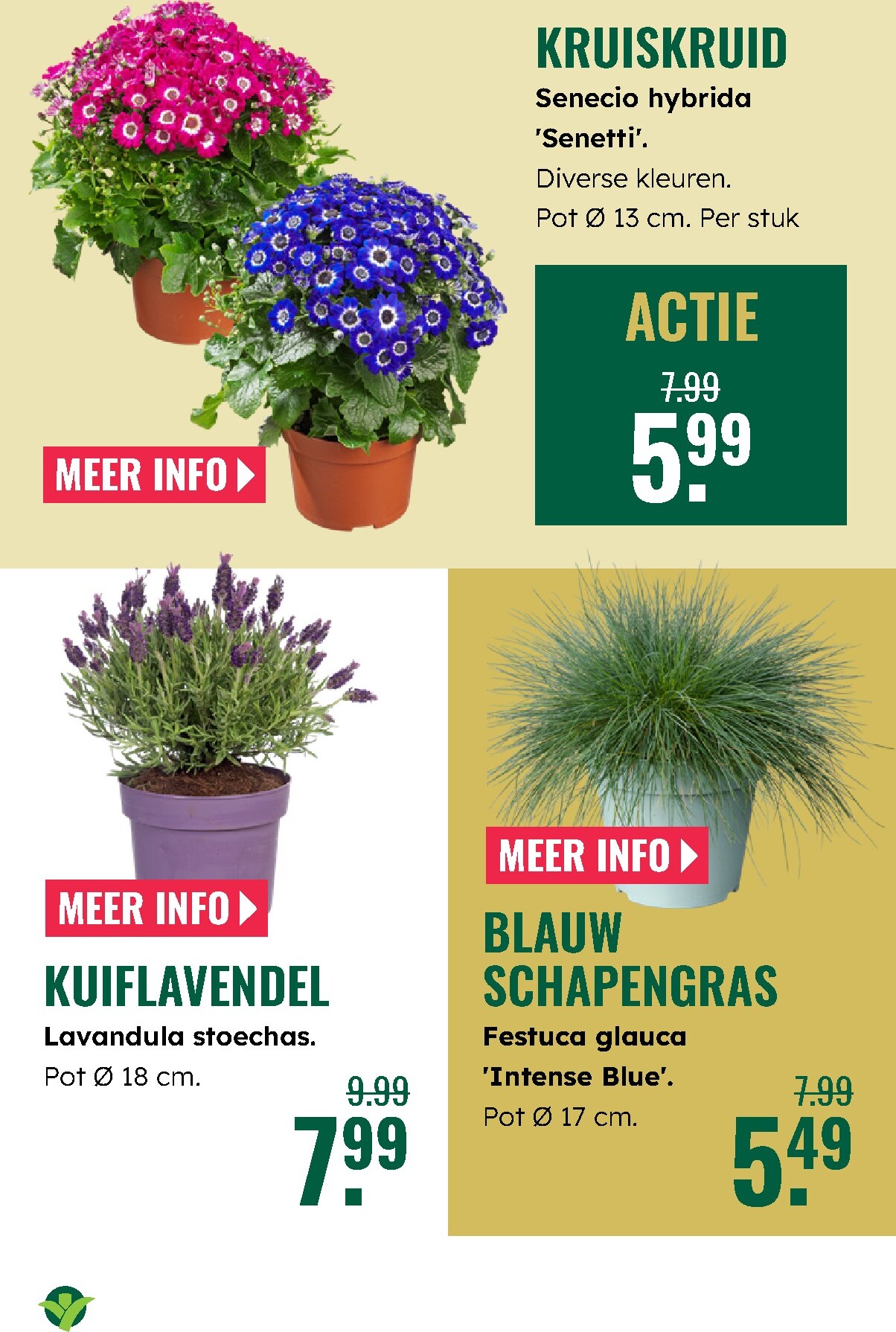 groenrijk - De GroenRijk folder geldig vanaf 19-03-2026 t/m 25-03-2026 - page: 5