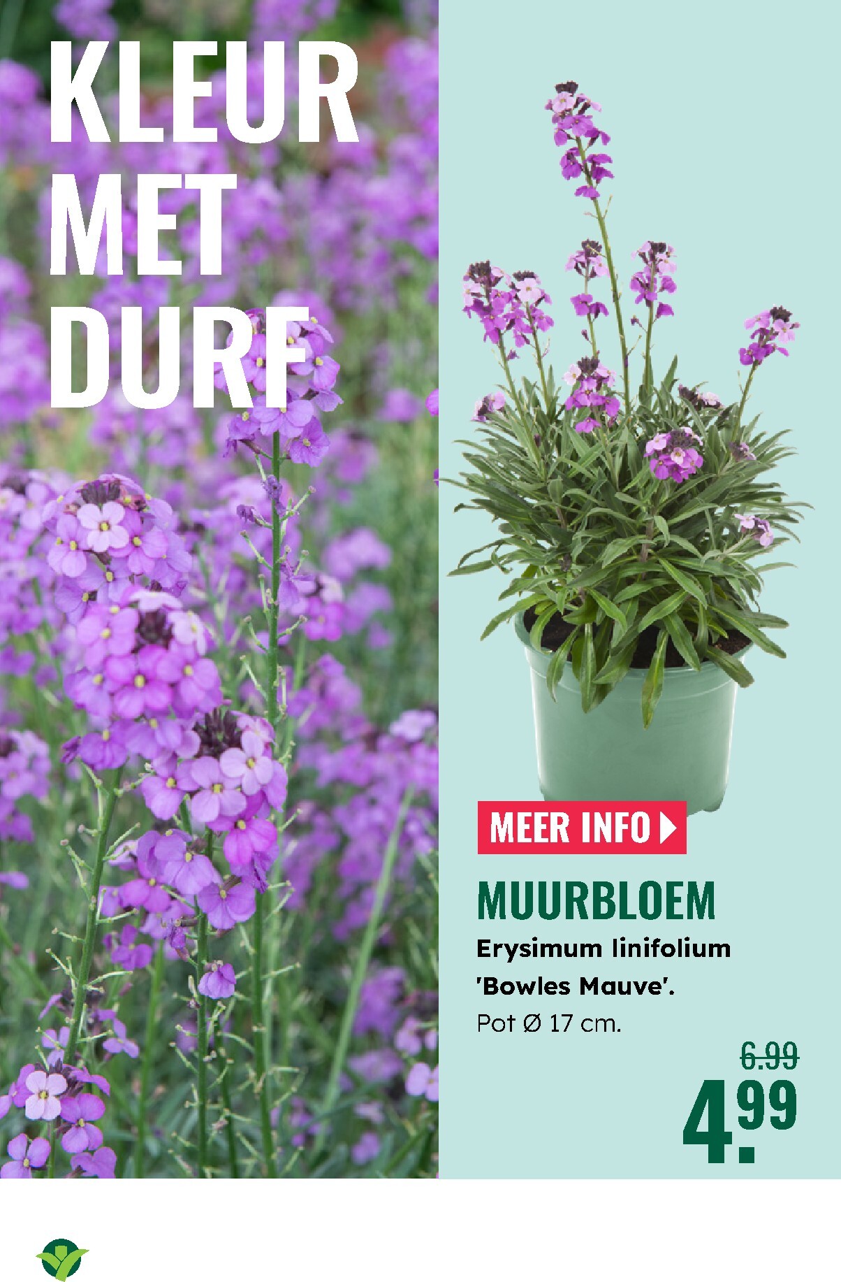 groenrijk - De GroenRijk folder geldig vanaf 19-03-2026 t/m 25-03-2026 - page: 6