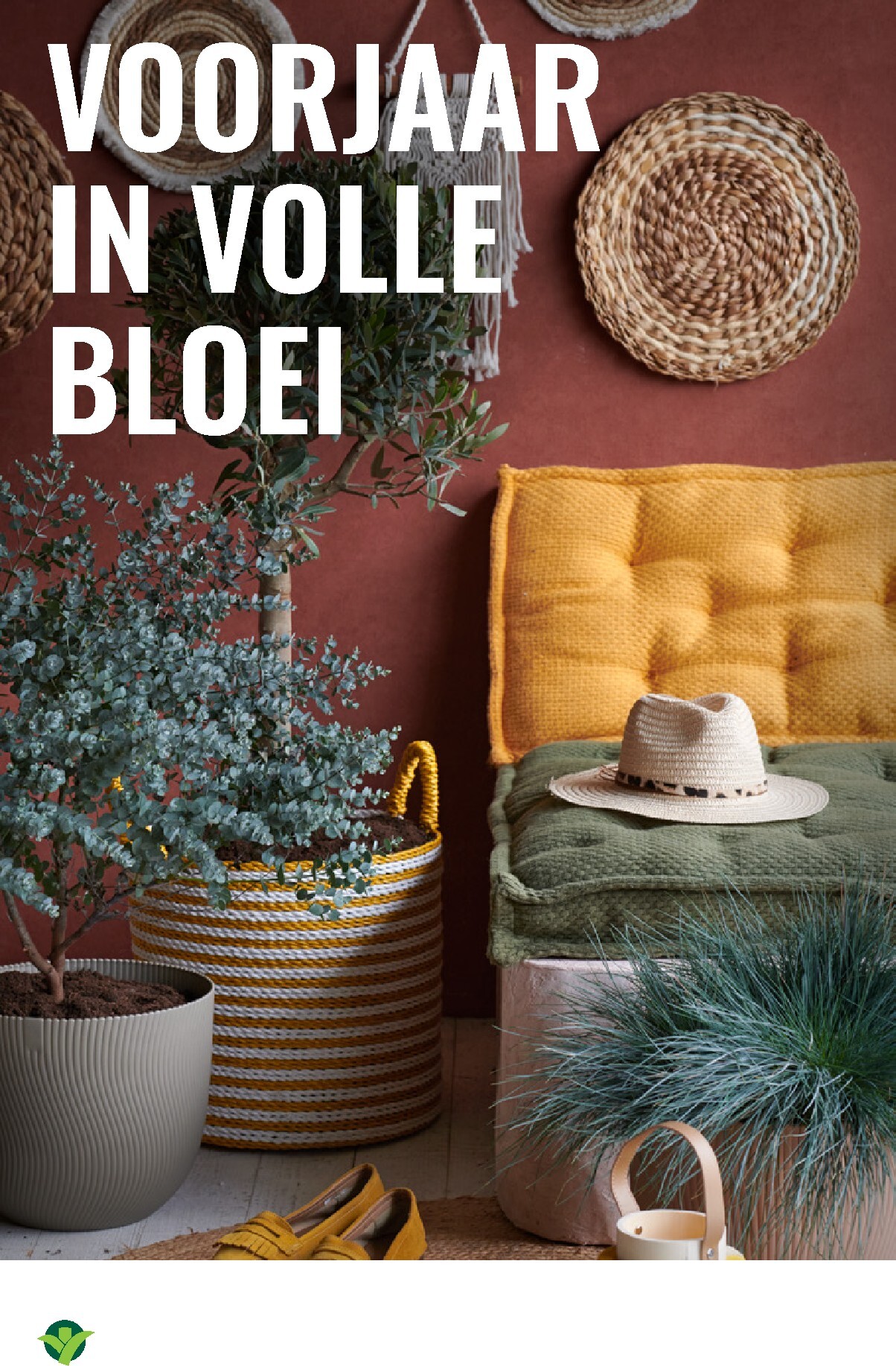 groenrijk - De GroenRijk folder geldig vanaf 02-04-2026 t/m 08-04-2026 - page: 5