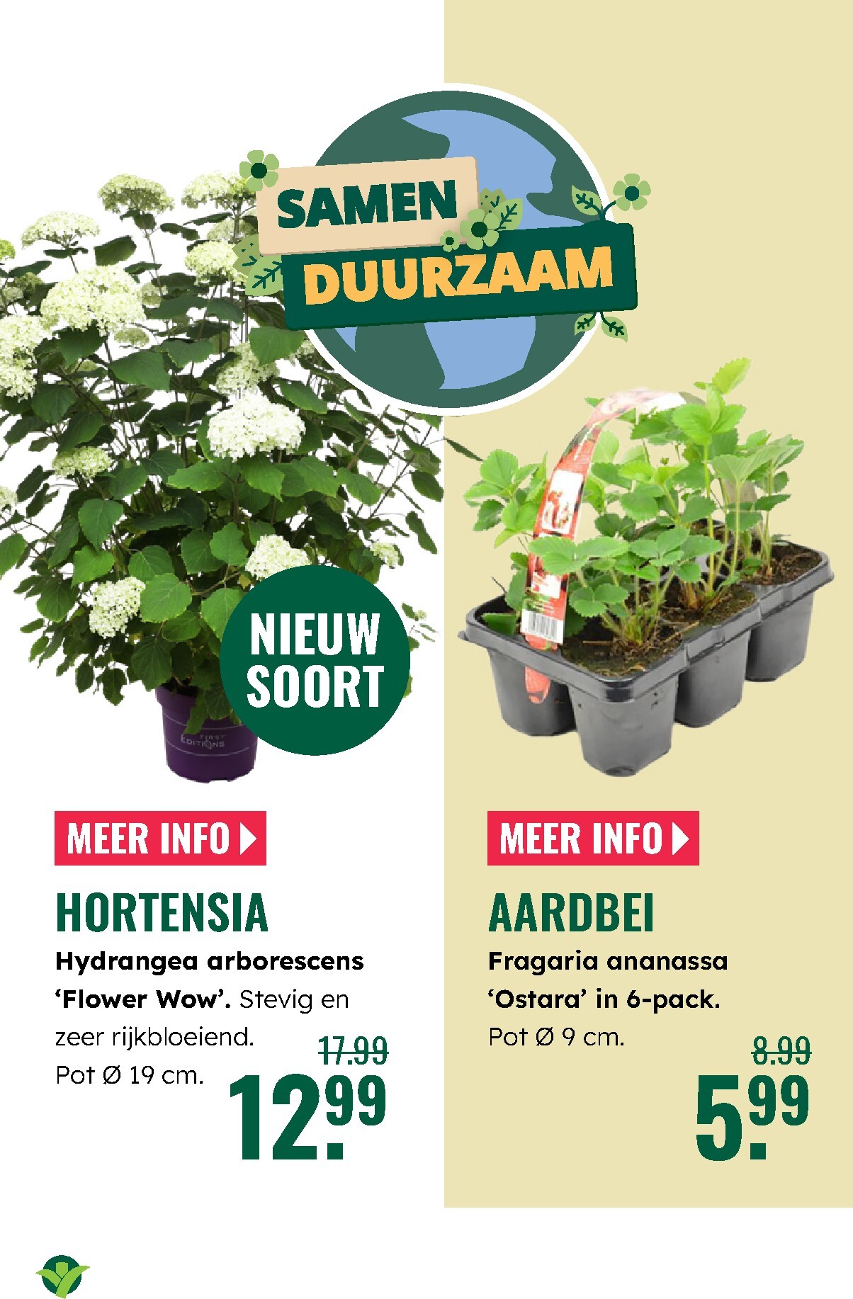 groenrijk - De GroenRijk folder geldig vanaf 02-04-2026 t/m 08-04-2026 - page: 12