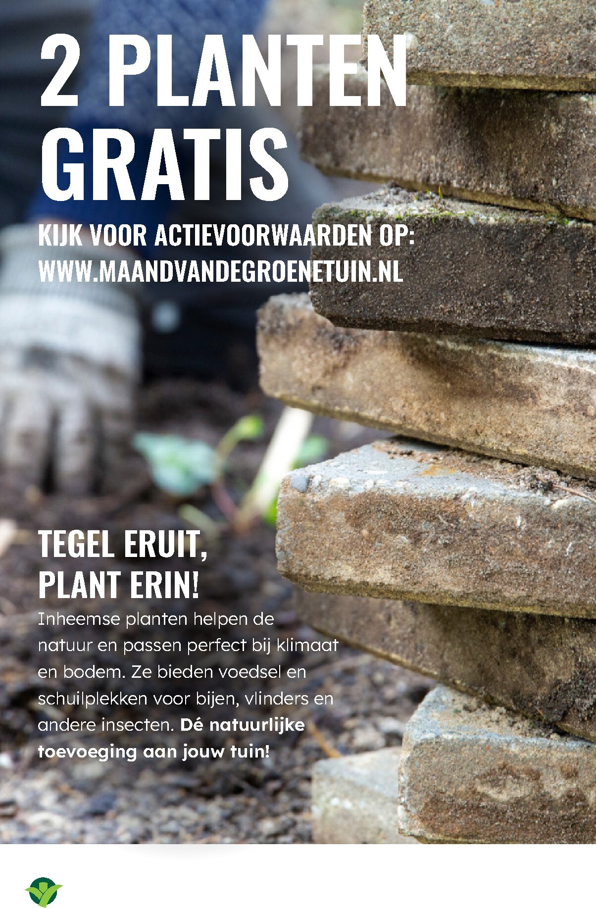 groenrijk - De GroenRijk folder geldig vanaf 02-04-2026 t/m 08-04-2026 - page: 16