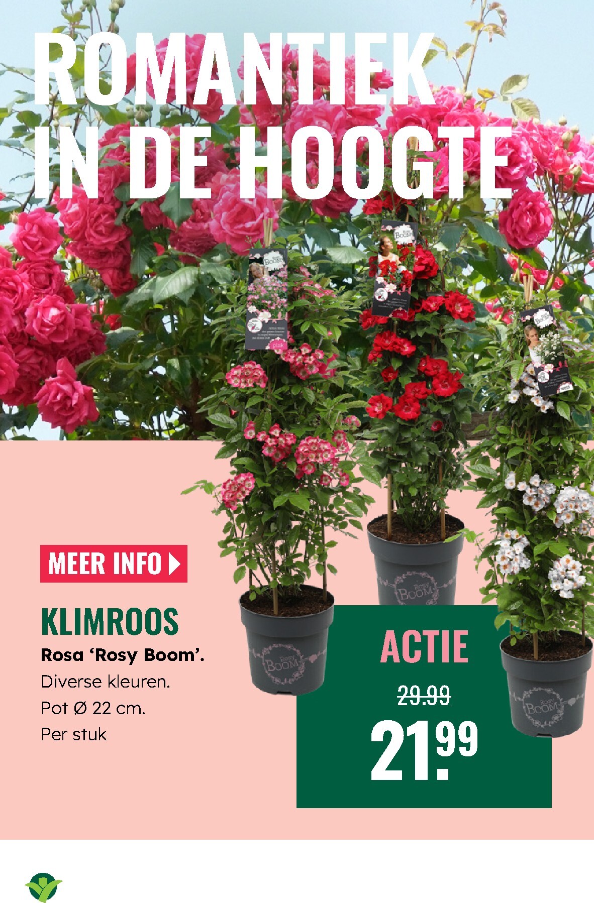 groenrijk - De GroenRijk folder geldig vanaf 02-04-2026 t/m 08-04-2026 - page: 19