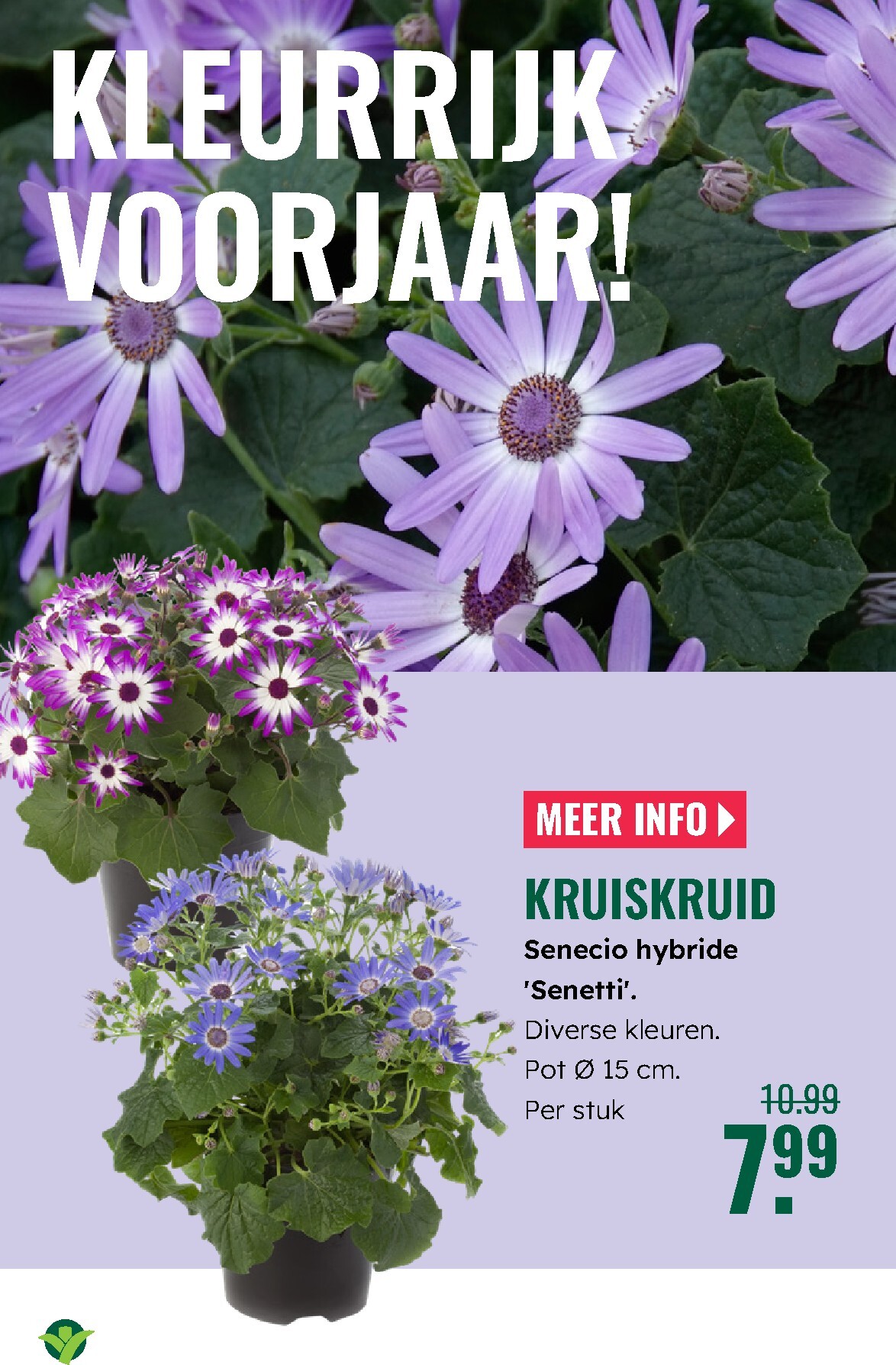 groenrijk - De GroenRijk folder geldig vanaf 02-04-2026 t/m 08-04-2026 - page: 20