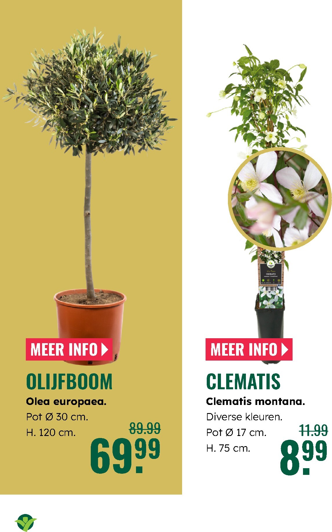 groenrijk - De GroenRijk folder geldig vanaf 02-04-2026 t/m 08-04-2026 - page: 7