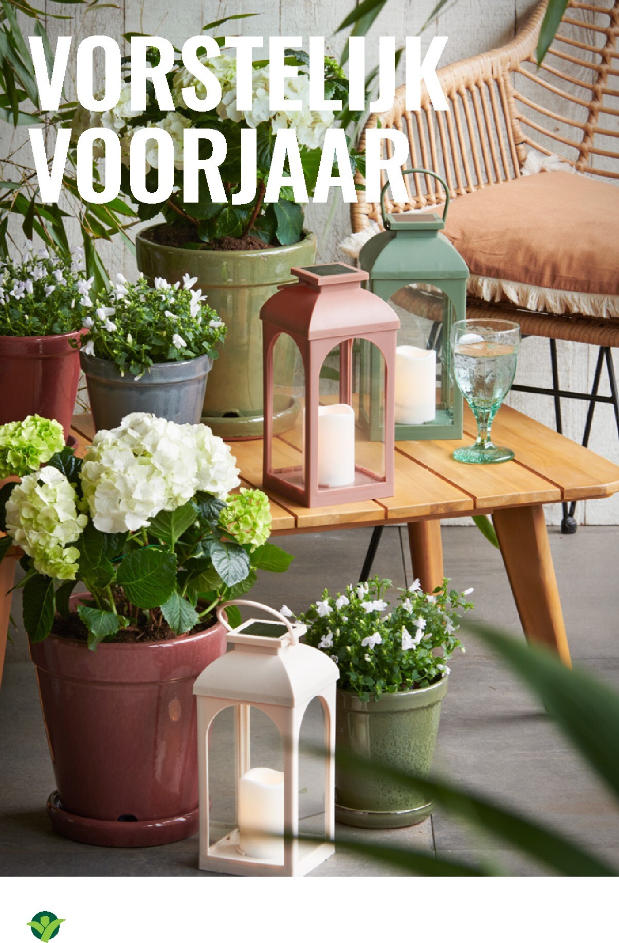 groenrijk - Huidige GroenRijk folder geldig van donderdag 23-04-2026 tot woensdag 29-04-2026 - page: 12