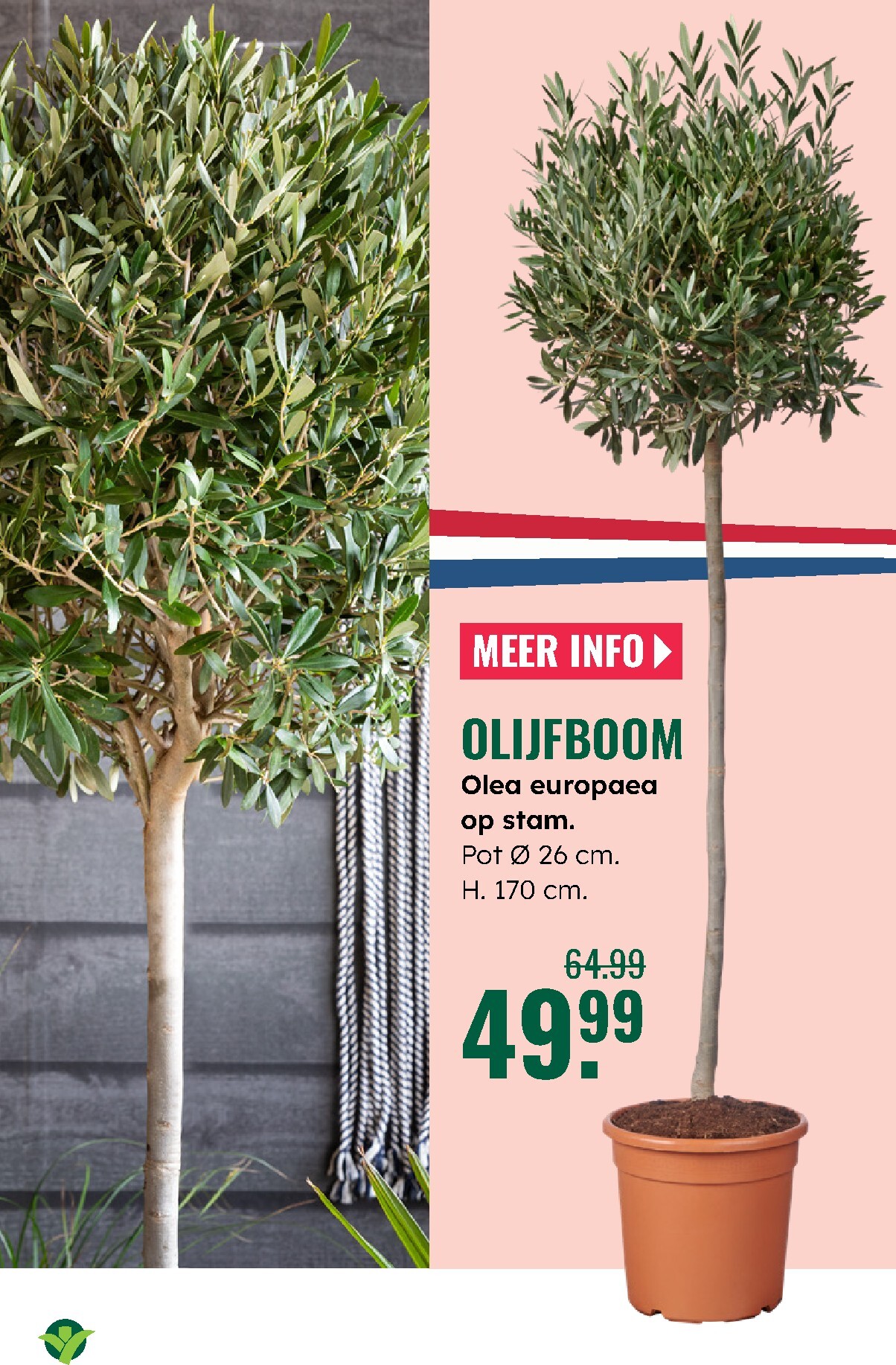 groenrijk - Huidige GroenRijk folder geldig van donderdag 23-04-2026 tot woensdag 29-04-2026 - page: 6