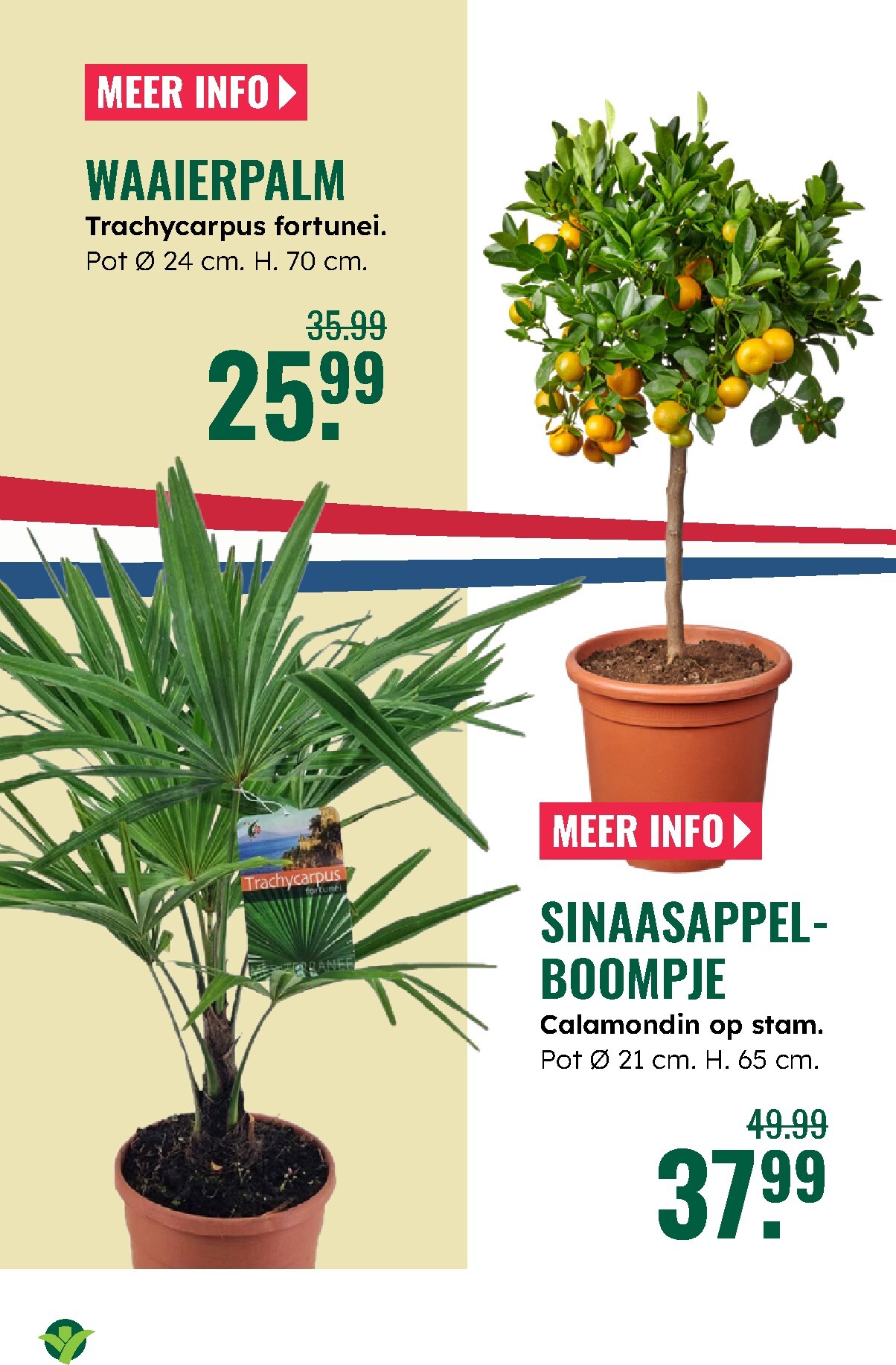 groenrijk - Huidige GroenRijk folder geldig van donderdag 23-04-2026 tot woensdag 29-04-2026 - page: 8