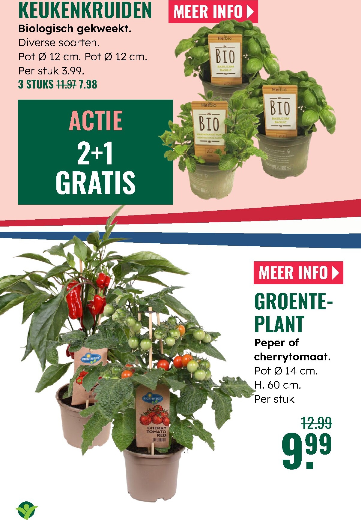 groenrijk - Huidige GroenRijk folder geldig van donderdag 23-04-2026 tot woensdag 29-04-2026 - page: 19