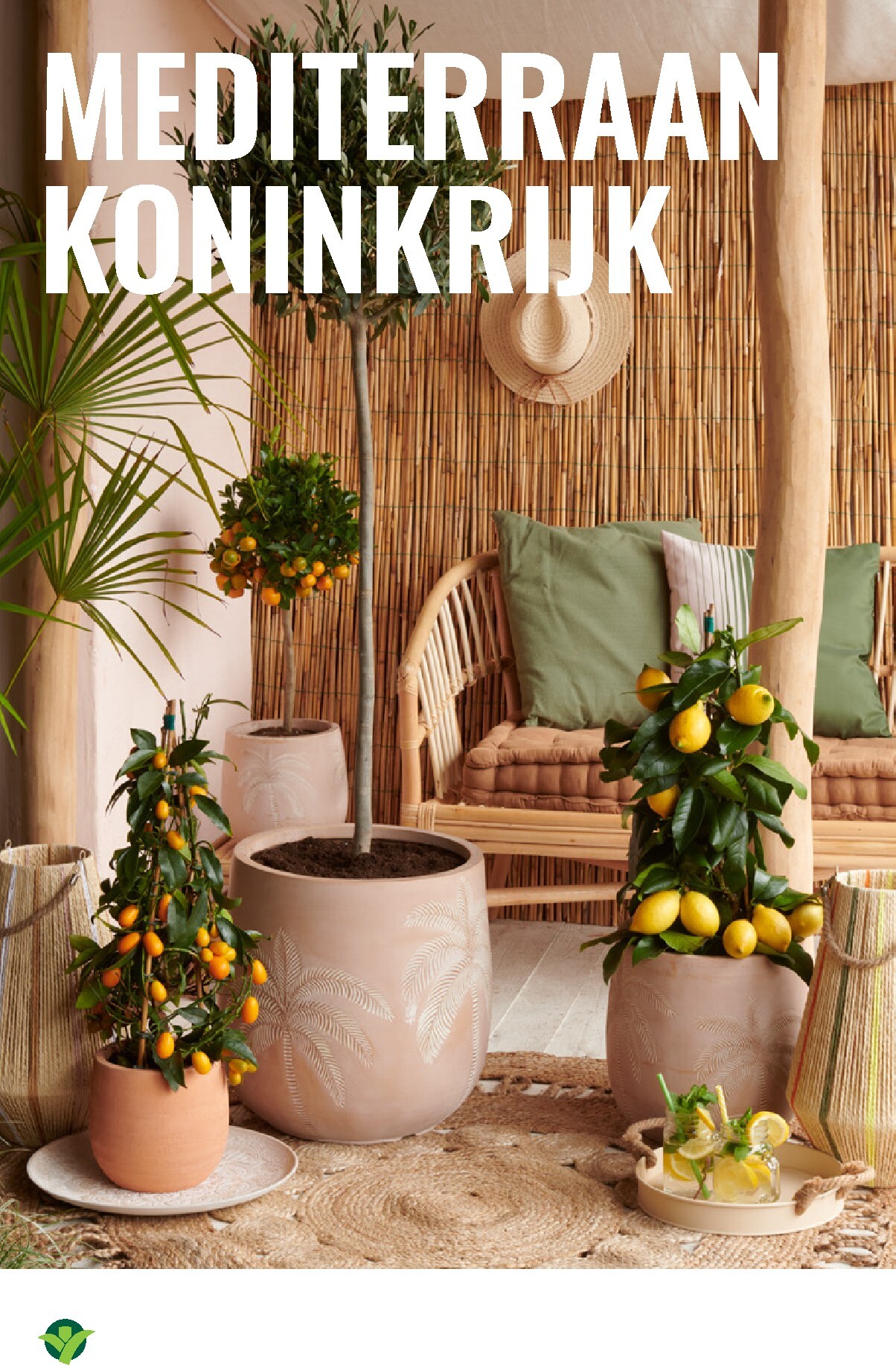 groenrijk - Huidige GroenRijk folder geldig van donderdag 23-04-2026 tot woensdag 29-04-2026 - page: 4