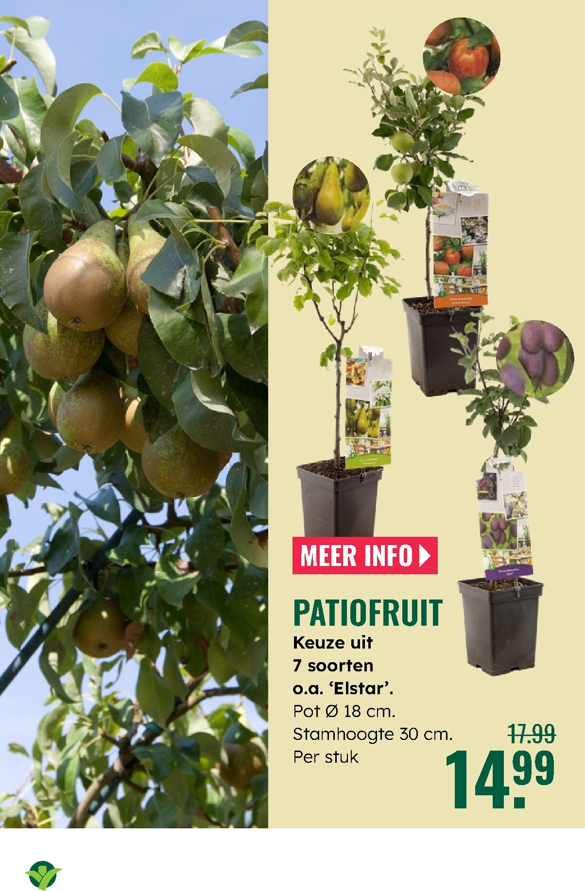 groenrijk - Huidige GroenRijk folder geldig van donderdag 23-04-2026 tot woensdag 29-04-2026 - page: 20