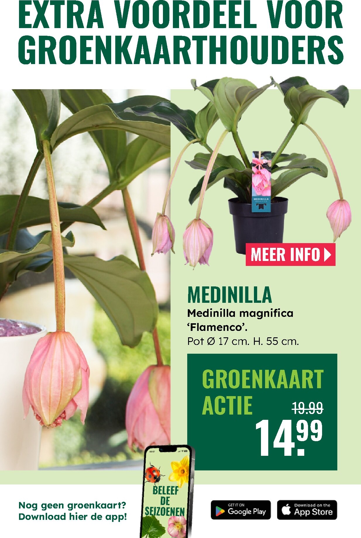 groenrijk - Huidige GroenRijk folder geldig van donderdag 07-05-2026 tot woensdag 13-05-2026 - page: 6