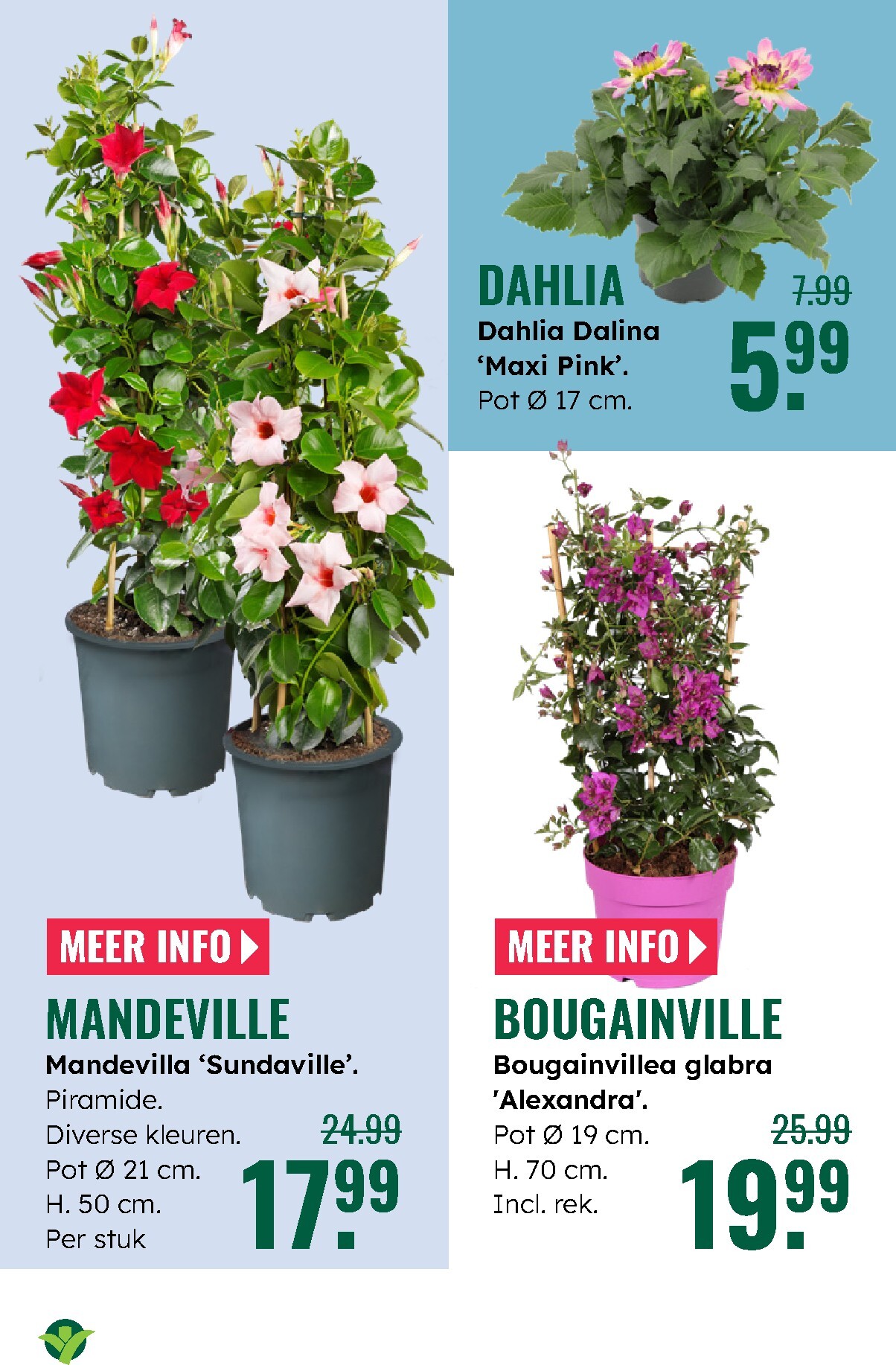 groenrijk - Huidige GroenRijk folder geldig van donderdag 07-05-2026 tot woensdag 13-05-2026 - page: 8