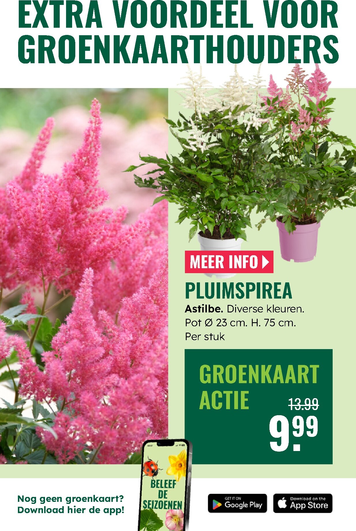 groenrijk - Huidige GroenRijk folder geldig van donderdag 07-05-2026 tot woensdag 13-05-2026 - page: 11
