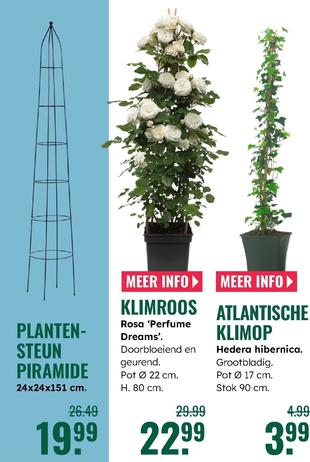 groenrijk - Huidige GroenRijk folder geldig van donderdag 07-05-2026 tot woensdag 13-05-2026 - page: 17