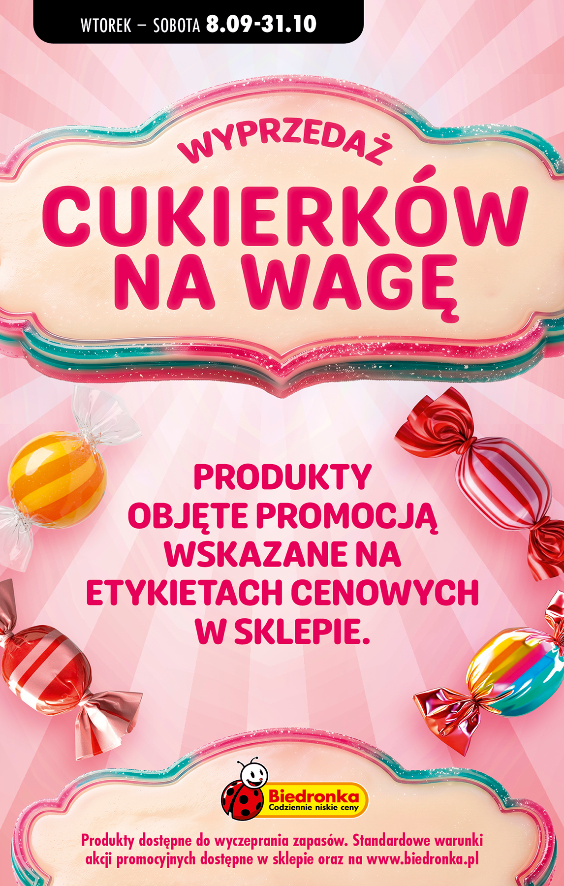 biedronka - Aktualna gazetka Biedronka ważna od 10.09.2026 do 16.09.2026 - page: 13