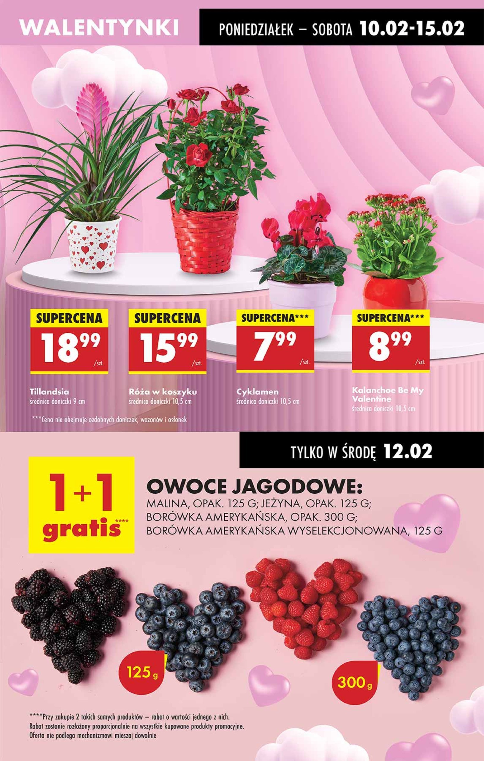 biedronka - Biedronka gazetka ważna od 10.02. - 15.02. - page: 25