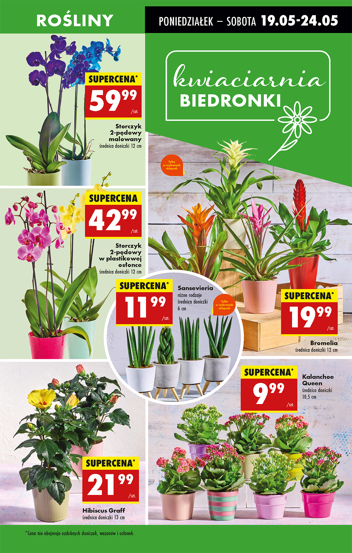 biedronka - Biedronka gazetka ważna od 19.05. - 24.05. - page: 19 biedronka - Biedronka gazetka ważna od 19.05. - 24.05. - page: 19