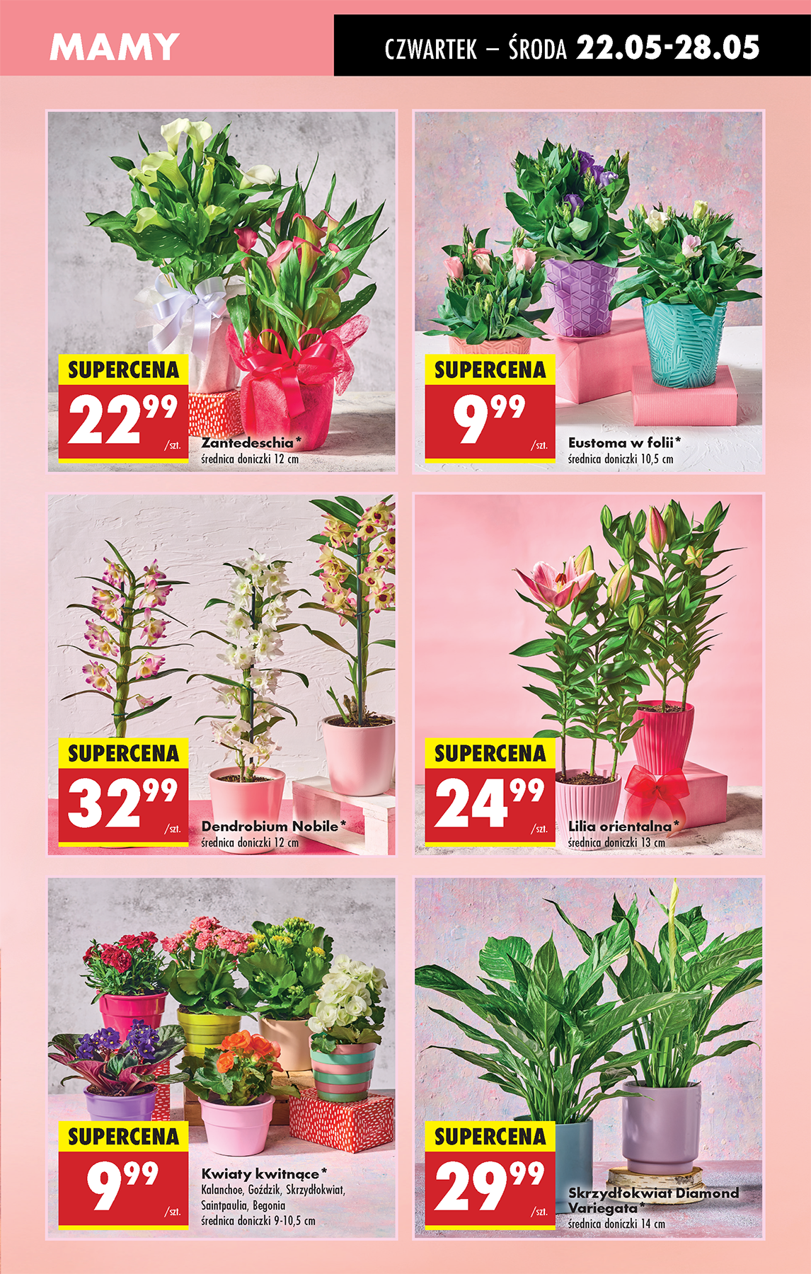 biedronka - Biedronka gazetka ważna od 22.05. - 28.05. - page: 9 biedronka - Biedronka gazetka ważna od 22.05. - 28.05. - page: 9