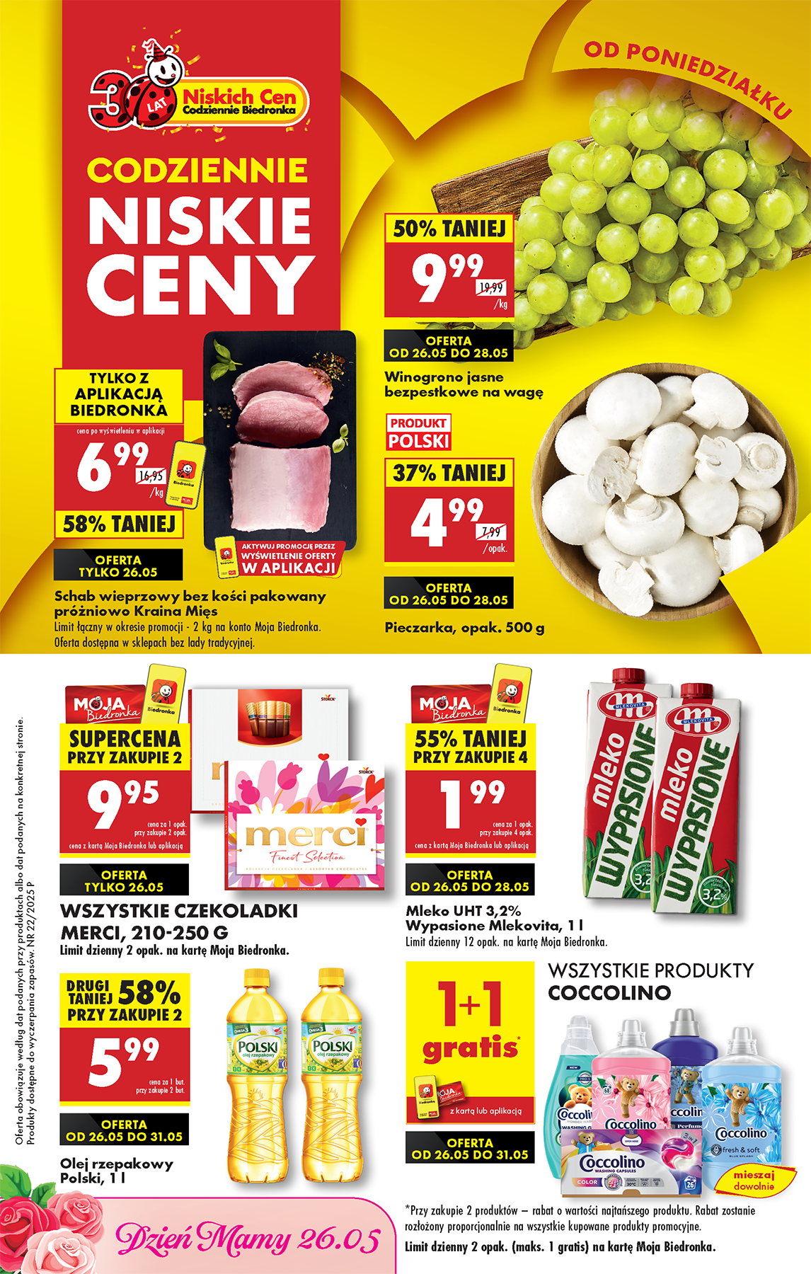 biedronka - Biedronka gazetka ważna od 26.05. - 04.06.
