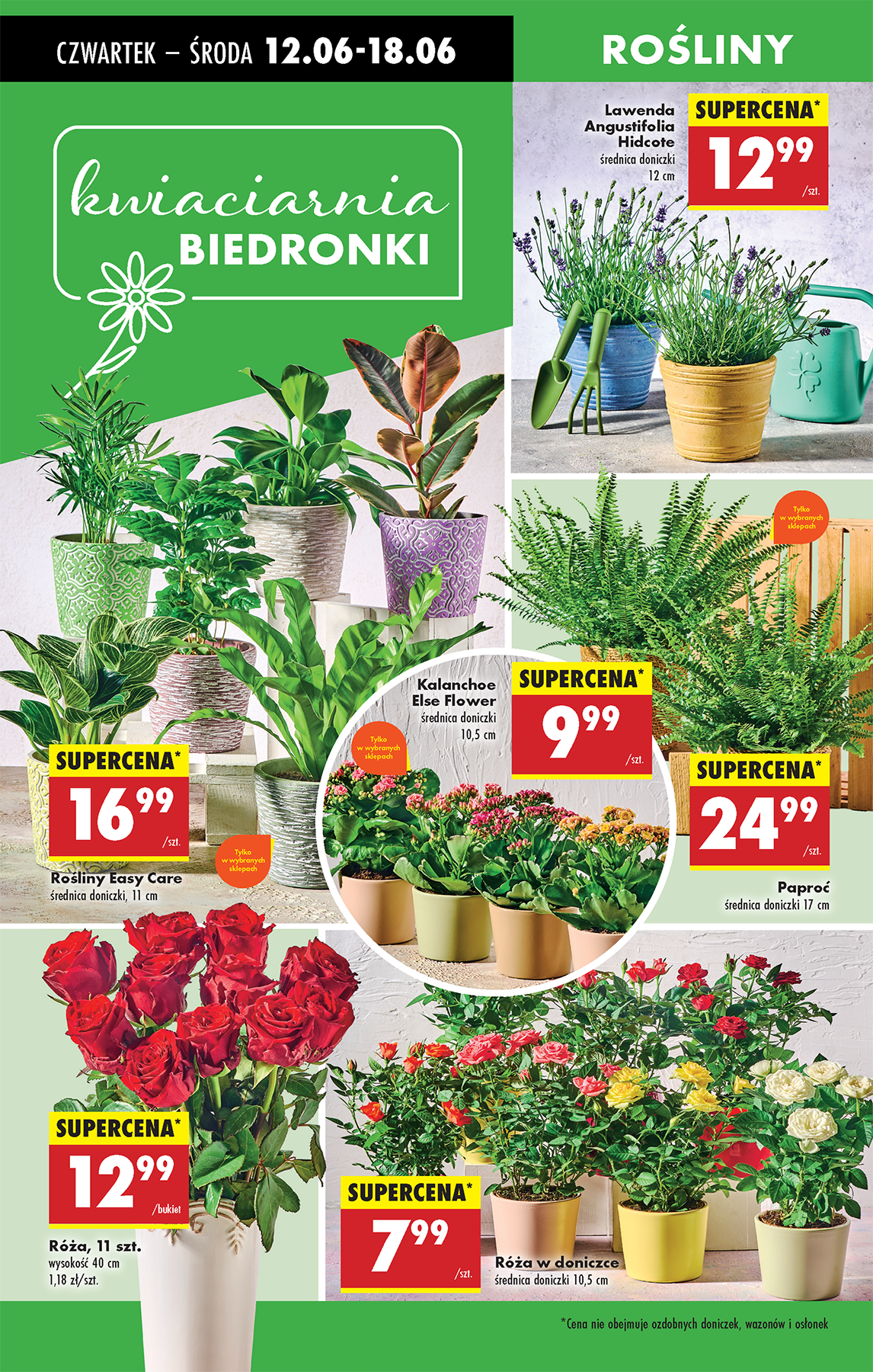 biedronka - Gazetka Biedronka ważna od 12.06. - 18.06. - page: 64