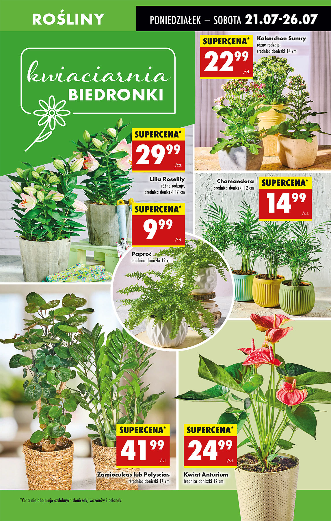 biedronka - Gazetka Biedronka ważna od 21.07. - 26.07. - page: 79