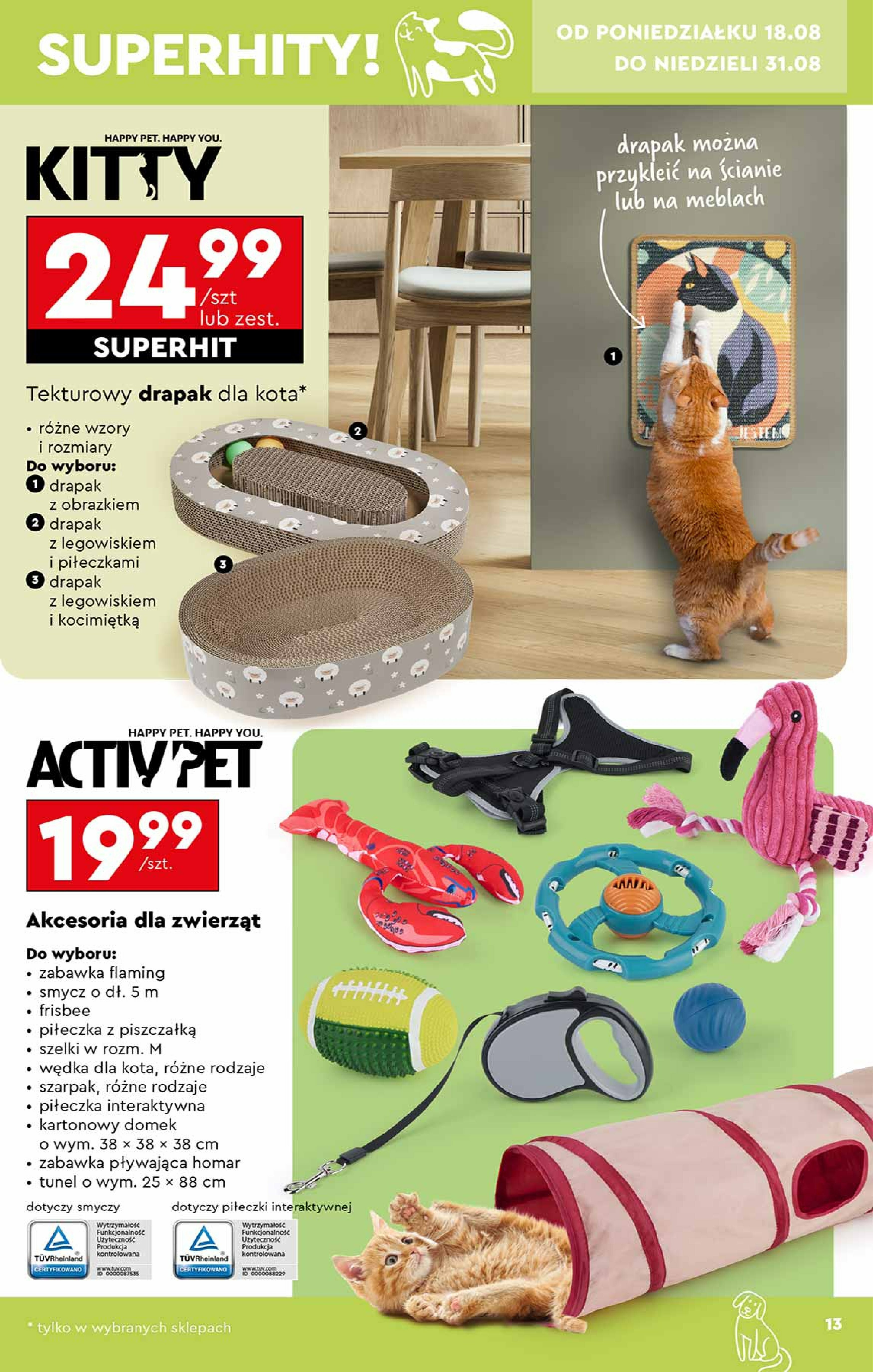 biedronka - Gazetka Biedronka - Hity i inspiracje - ważna od 18.08. do 31.08. - page: 13