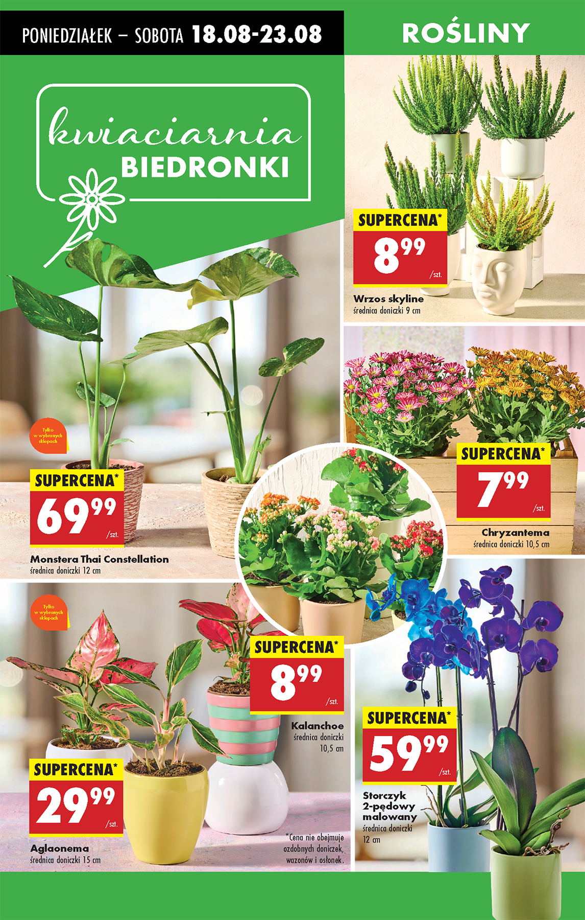 biedronka - Gazetka Biedronka - ważna od 18.08. do 23.08. - page: 69