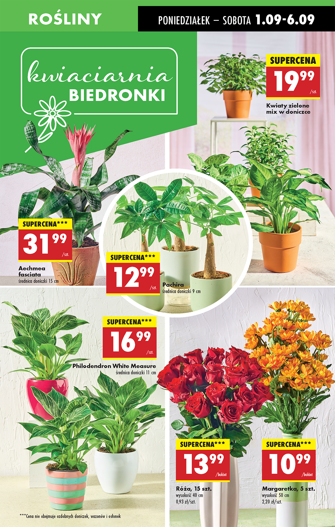 biedronka - Gazetka Biedronka - ważna od 01.09. do 06.09. - page: 17 biedronka - Gazetka Biedronka - ważna od 01.09. do 06.09. - page: 17