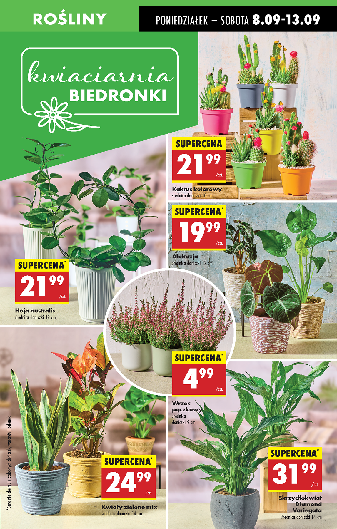 biedronka - Gazetka Biedronka - ważna od 08.09. do 13.09. - page: 19