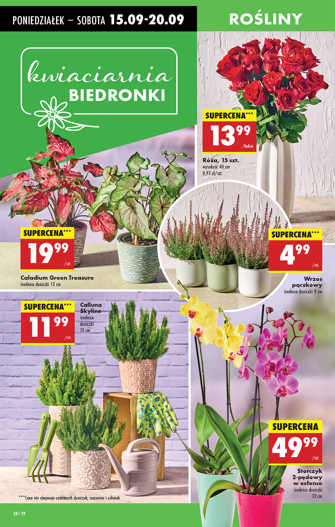 biedronka - Gazetka Biedronka - ważna od 15.09. do 20.09. - page: 34