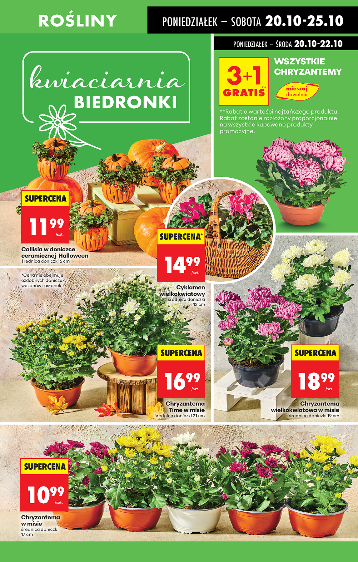 biedronka - Gazetka Biedronka - ważna od 20.10. do 25.10. - page: 75 biedronka - Gazetka Biedronka - ważna od 20.10. do 25.10. - page: 75
