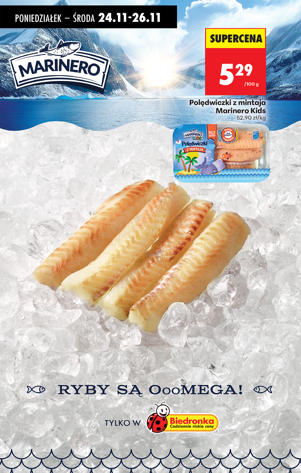 biedronka - Gazetka Biedronka - ważna od 24.11. do 29.11. - page: 42