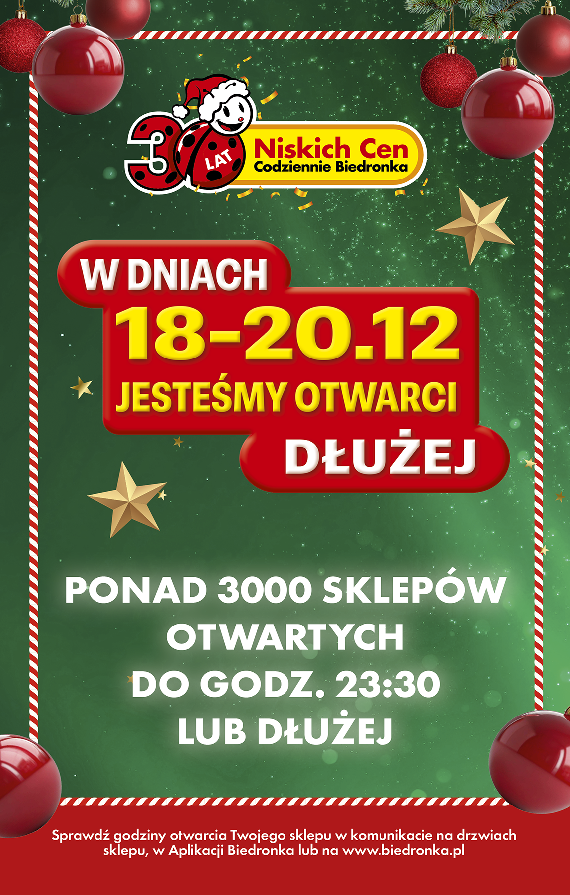 biedronka - Gazetka Biedronka - ważna od 17.12. do 23.12. - page: 6