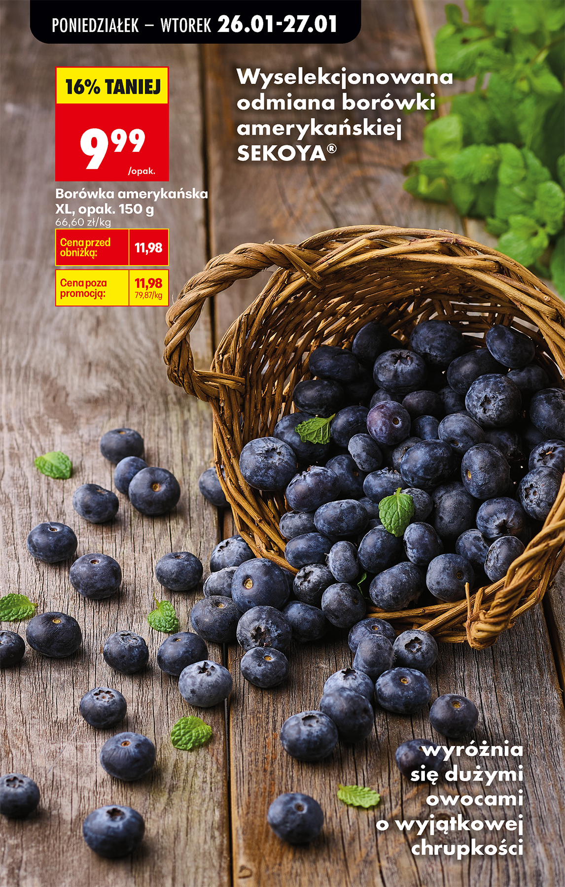 biedronka - Gazetka Biedronka - ważna od 26.01. do 31.01. - page: 19