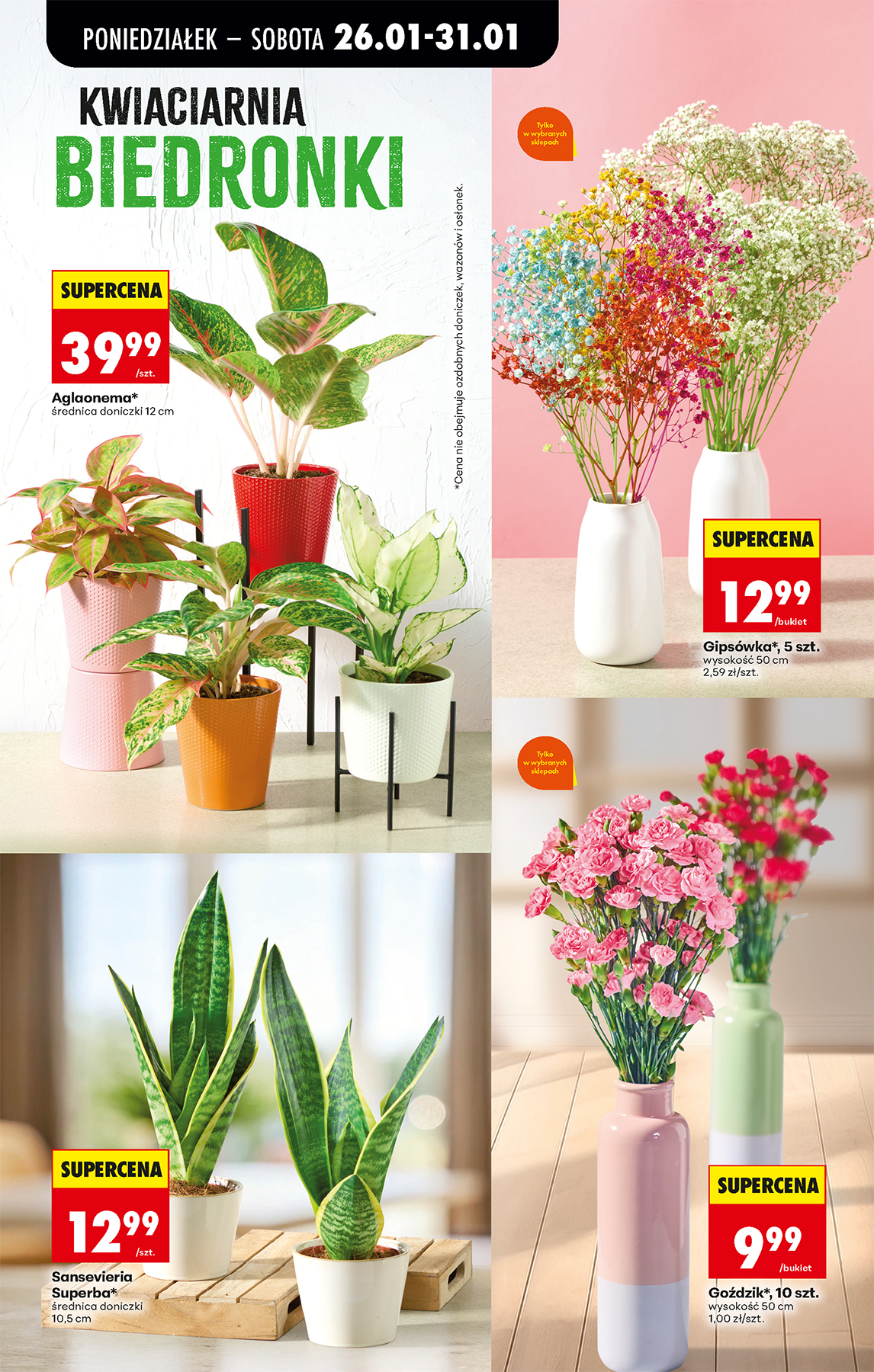 biedronka - Gazetka Biedronka - ważna od 26.01. do 31.01. - page: 25