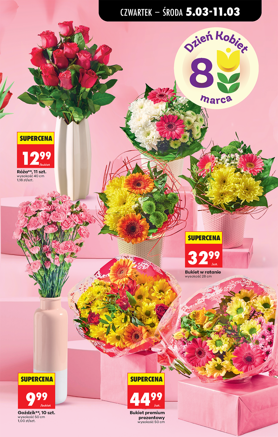 biedronka - Gazetka Biedronka - ważna od 05.03.2026 do 11.03.2026 - page: 13