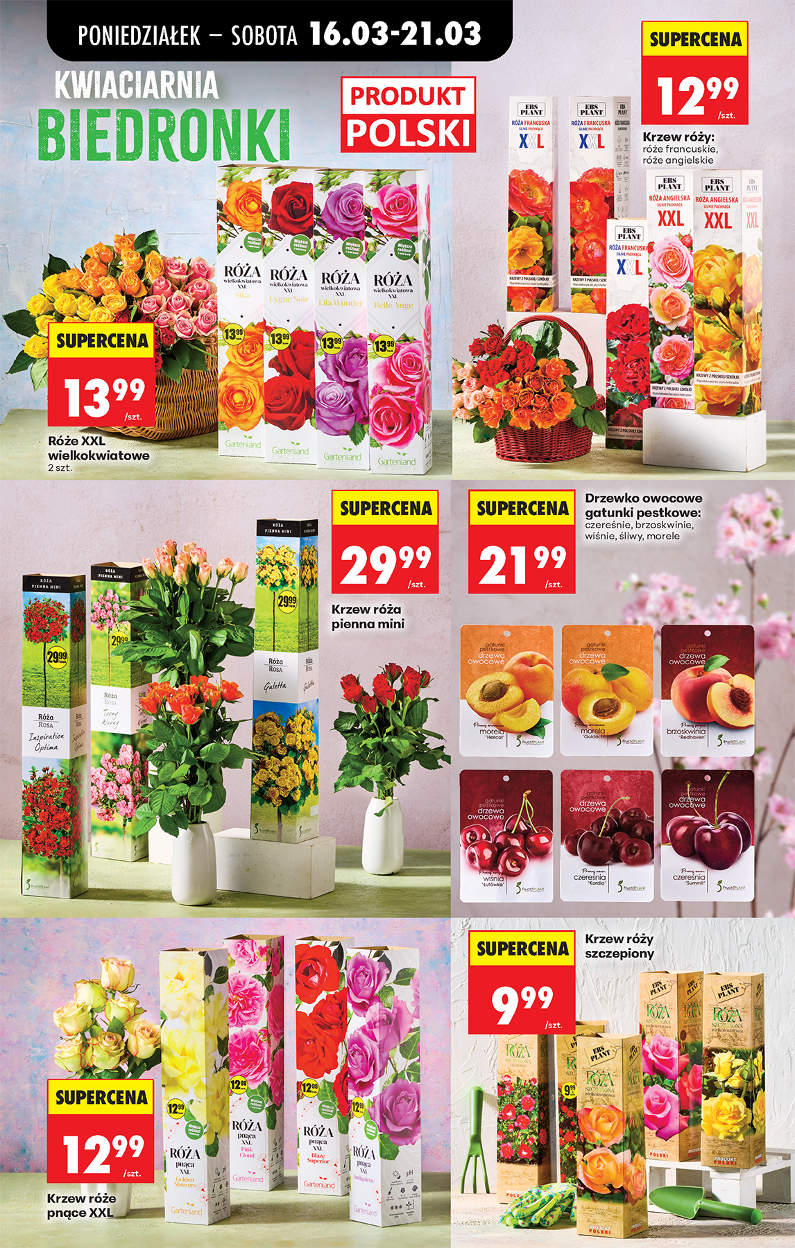 biedronka - Gazetka Biedronka - ważna od 16.03.2026 do 21.03.2026 - page: 79