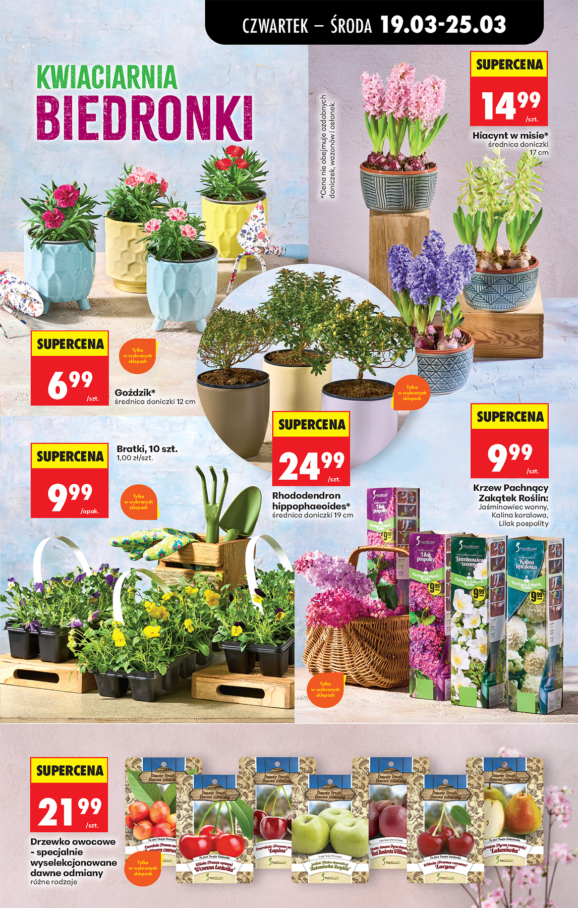 biedronka - Gazetka Biedronka - ważna od 19.03.2026 do 25.03.2026 - page: 77