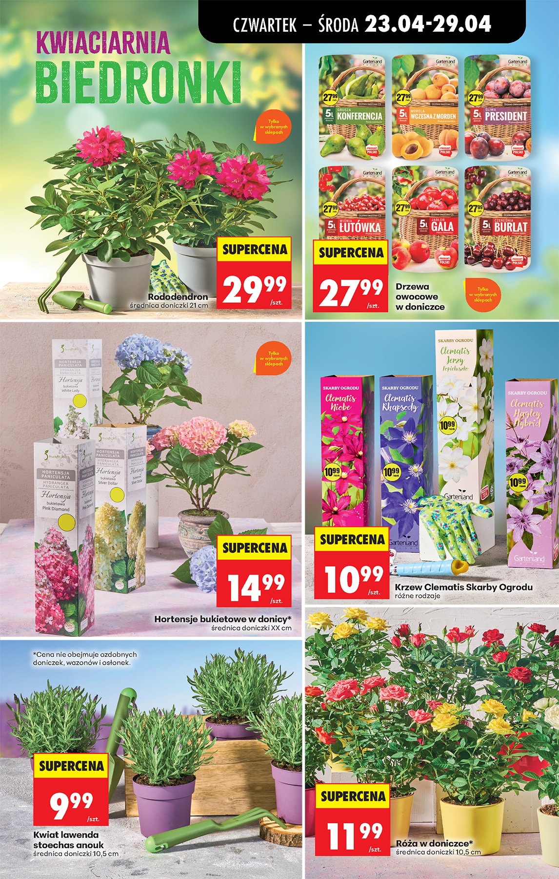 biedronka - Aktualna gazetka Biedronka ważna od 23.04.2026 do 29.04.2026 - page: 93