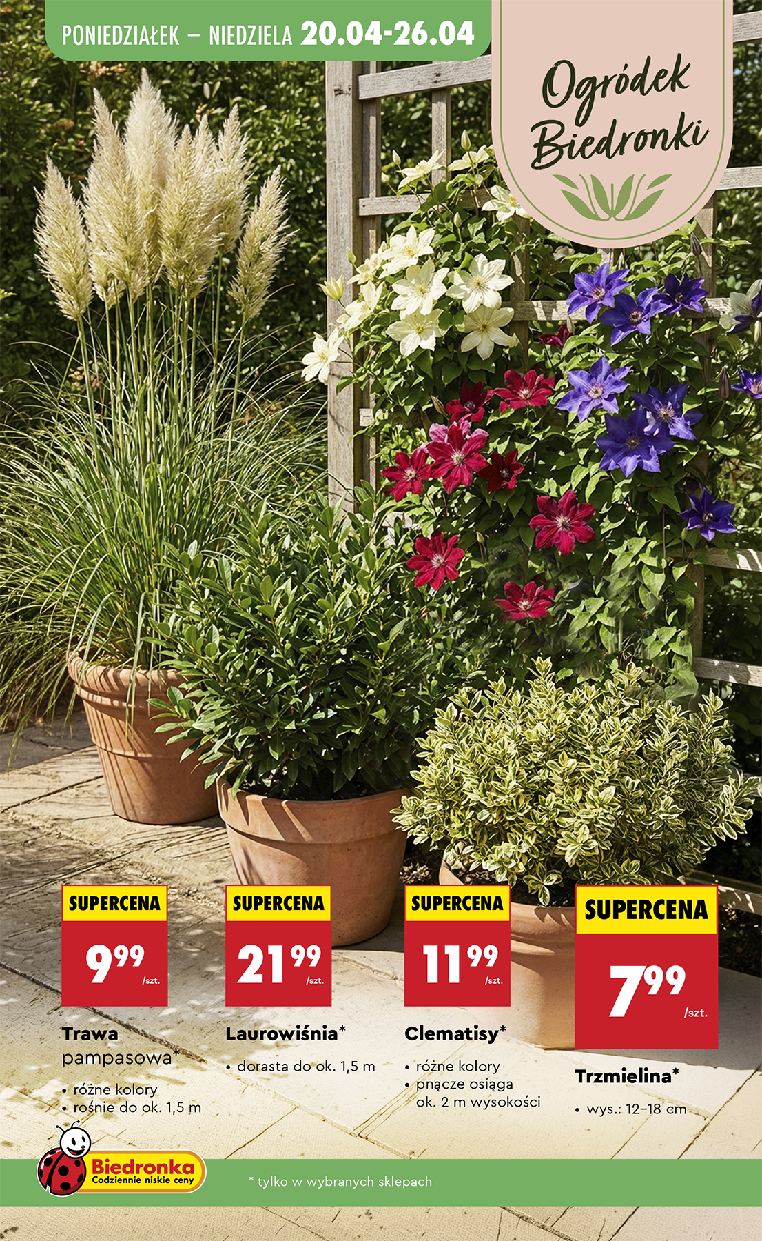 biedronka - Nowa gazetka Biedronka - Hity i inspiracje ważna od 25.04.2026 do 13.05.2026 - page: 2